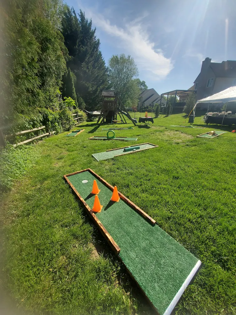 Backyard hole with cone obstacles